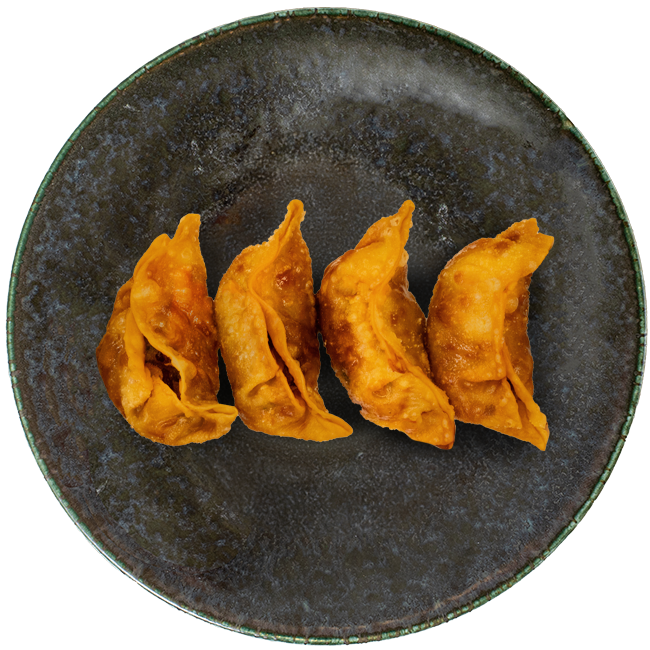 Fried Chicken Dumplings